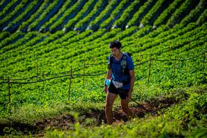 BIB: 
                            <button type="button" onclick="openModal(19160492)" class="btn btn-primary btn-sm float-right btn-popup" data-toggle="modal" data-target=".modal-high-quality">
                        <i class="fas fa-shopping-cart"></i> Add to Cart
                    </button>
                                            <button type="button" onclick="isThisMe(19160492, true)" class="btn btn-success btn-sm float-right btn-popup btn-isme hidden" data-toggle="tooltip" data-placement="bottom" title="นี่คือรูปของคุณใช่ไหม คลิกที่นี่เพื่อเอาเข้าอัลบั้ม">
                        <i class="fas fa-plus"></i> Add to album
                    </button>
                    <button type="button" onclick="isThisMe(19160492, false)" class="btn btn-warning btn-sm float-right btn-popup btn-isnotme hidden">
                        <i class="fas fa-ban"></i> Remove from album
                    </button>